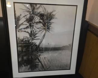BCD026 - Framed Historical Print of Coconut Trees Over Rice Paddies