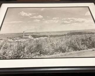 BCD099 - Historical Photo of The Honolulu Sugar Company With Pearl Harbor Backdrop
