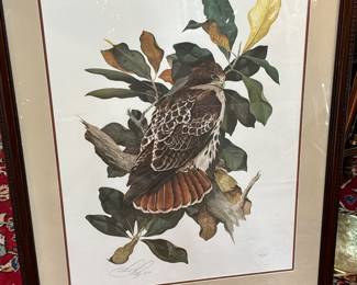 Vintage Signed Limited Edition C. Ford Riley Print #16/250 Red Tail Hawk on Magnolia Branch