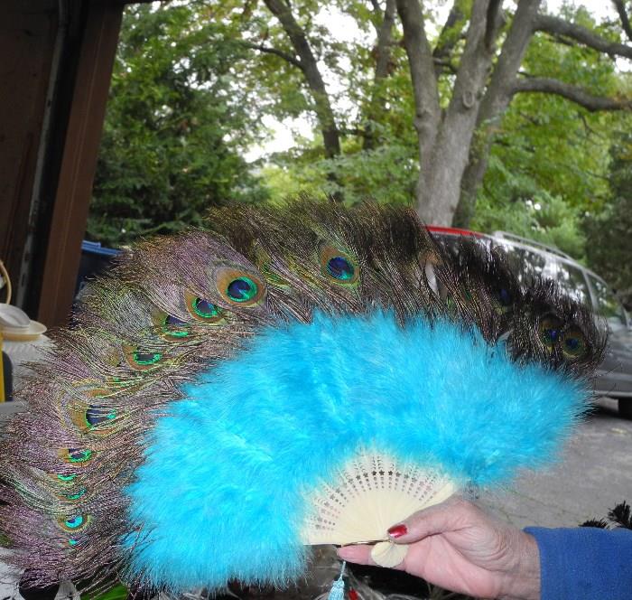 Lovely peacock fan