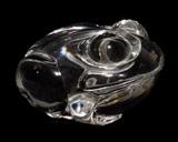 Lot#1275, STEUBEN GLASS FROG HAND COOLER, L 2 1/2": Signed. Good condition jw