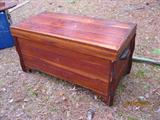 Great old Cedar trunk
