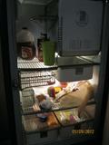 Inside of retro fridge (food not included).