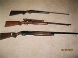 Bottom: Winchester, 12 ga Model 1200
Middle: Stevens 410 Single shot Model 94
Top : Marlin 22 ca Model 81/DL bolt action