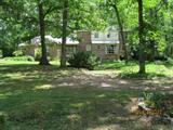 Back view of house