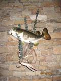Mounted large bass