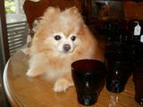 Miss Hone y LOVES the Ruby Red glass !!