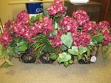 Southern Living flower box with flowers