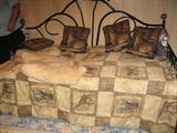 Nice Scrolled Black Iron
Day Bed, complete with mattress. 