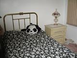 Small Twin size Brass Bed
Frame and mattress.