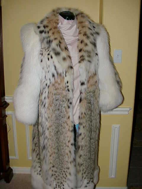 American Cat Lynx with white fox full length coat
