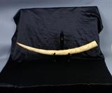 Antique Chinese Ivory Tusk