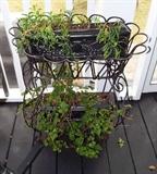 WROUGHT IRON PLANTERS AND OCCASIONAL PIECES FOR THE OUTDOORS