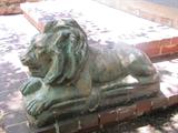 One of the three lions