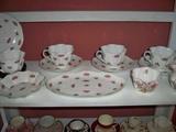 Shelley Bone China Cup & Saucer collection