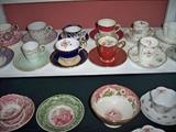Tea Cup & Saucer Collection