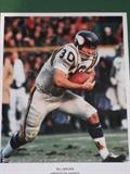 Photo of Bill "Boom Boom" Brown (Vikings, Number 30)