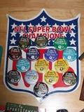 Super Bowl Champion Pins
