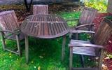 Werner Woods Outdoor Patio Furniture Set: Oval Table with nested leaf with four matching chairs