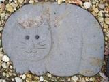 Cat- stepping stone