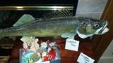 Pike Mounted fish, Fish Christmas ornaments