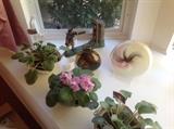 African violets in artist pots