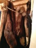 Luxurious Furs