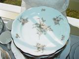 Johann Haviland Bavaria service for 12 plus extras in the Sepia Rose pattern.