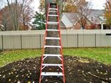 Werner 10 ft. ladder, 300 lb. capacity