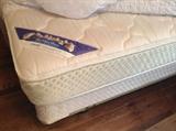 Twin Serta Mattress & Box Spring