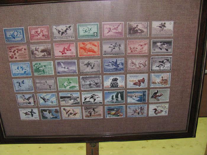 Framed Duck Stamp Collection- face value $95