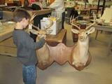 Max with the deer mount
