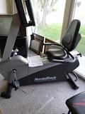 Nordic Recumbent Bike