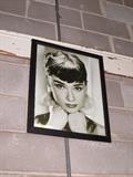 framed Audrey Hepburn photograph