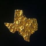 Texas belt buckle