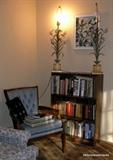 Vintage Metal Flower Lamps. bookcase, old books and blue velvet parlor chair