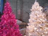 6' and 7' trees starting at $90 pink and white 