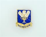 Vintage Sterling & Enamel “Sustineo Alas” Military Pin
