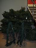 Tree is so tall! 2 more pieces go on top, they are tucked under the tree
