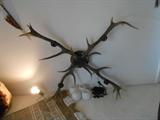 ELK ANTLER CHANDLIER