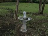 Bird Bath