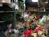 More examples of the floral and greens available for making your own arrangements. Wholesale prices!