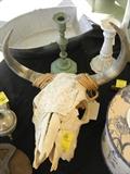 Cow Skull