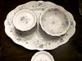 Johann Haviland, Bavaria Germany, Blue Garland platters, fruit bowls and butter pats