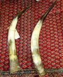 pair of horns