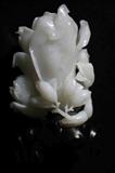和田玉-白玉兰花雕   hetian Jade Magnolia Huadiao