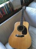 Acoustic Guitar ( Alvarez, No.5022)