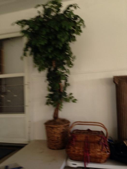 artificial tree, and picnic basket
