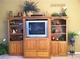 Entertainment Center