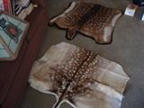 Axis Deer Rugs